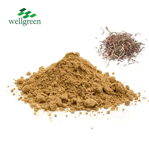 Rubia Cordifolia Extract